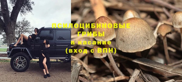 COCAINE Богородск