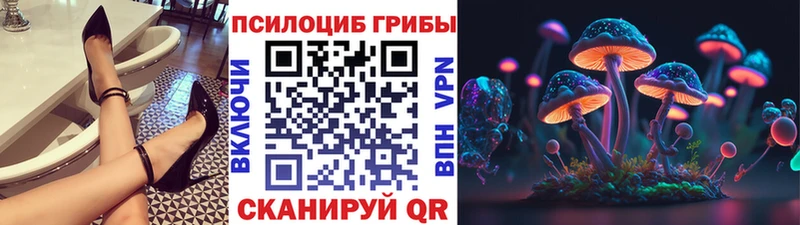Псилоцибиновые грибы мицелий  hydra сайт  Верещагино 