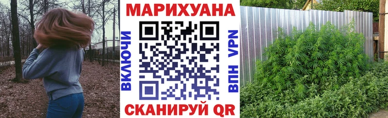 Шишки марихуана Bruce Banner  Верещагино 